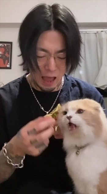 おいしそうな猫ちゃん