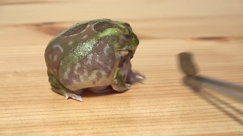 目を閉じて拒否