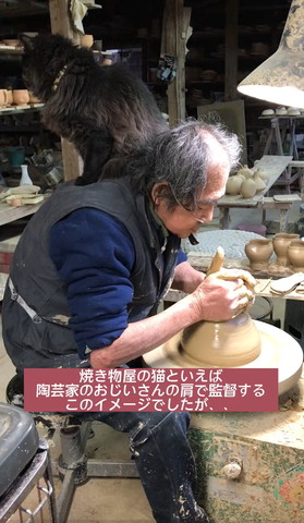 おじいさんの肩に座る猫横から