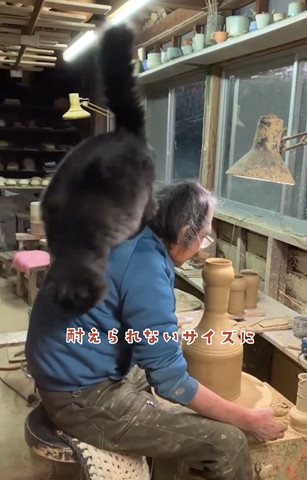 おじいさんの背中から降りようとする猫