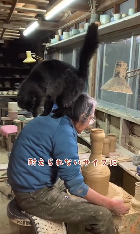 耐えられないサイズにテロップ