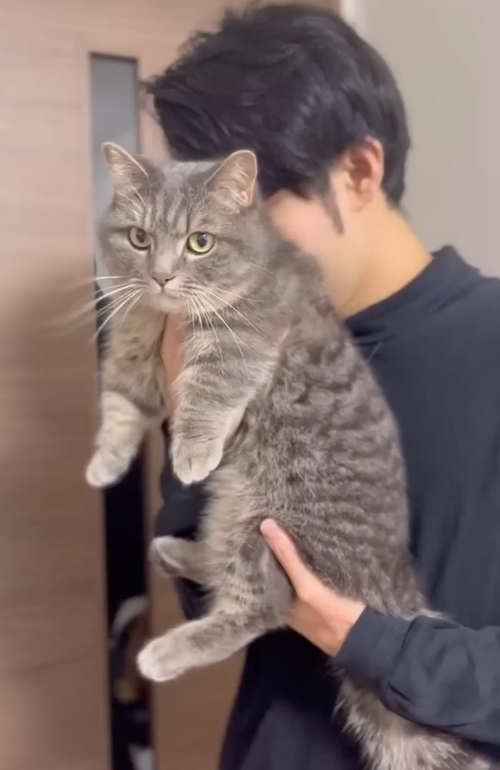 猫吸いは危険です