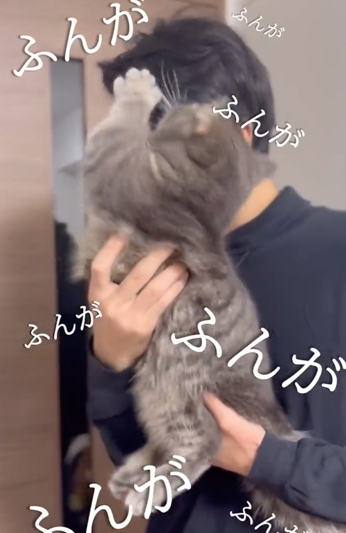 猫吸いは危険です