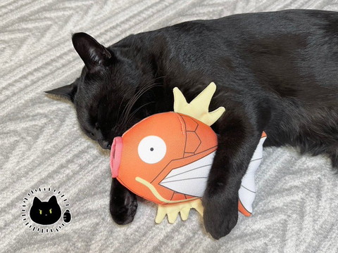 コイキングと猫