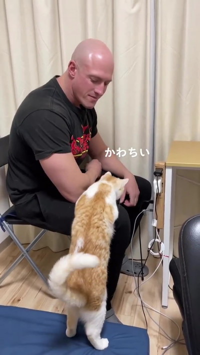 ひたすらクンクンする猫