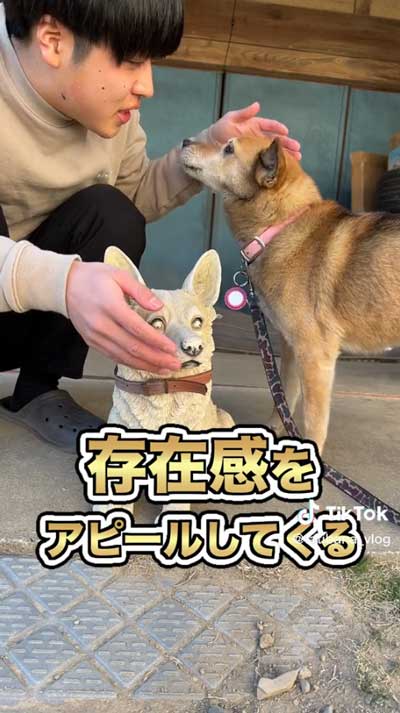 存在アピールする犬