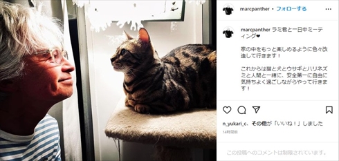 マーク・パンサーの愛猫