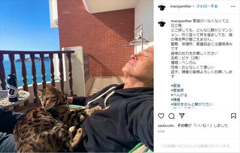 行方不明になり亡くなったマーク・パンサーの愛猫