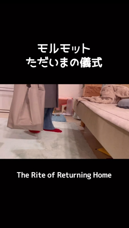 動画冒頭