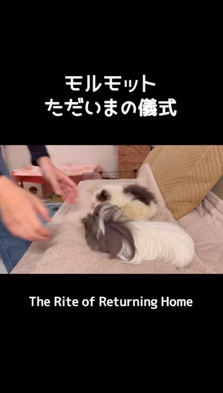 ティー坊くん