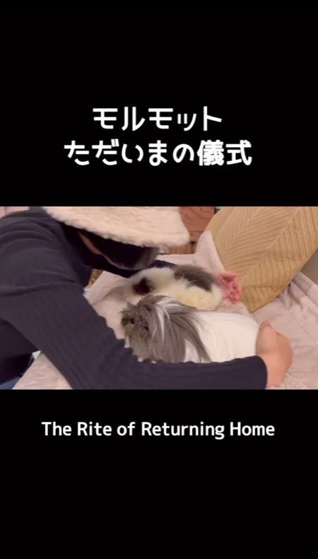 抱きしめる途中の飼い主さん