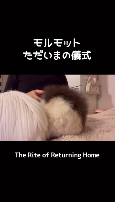 おしり
