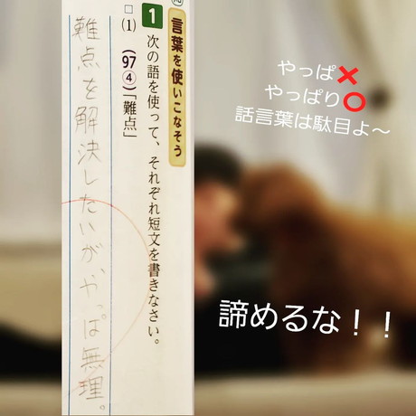 難点の問題