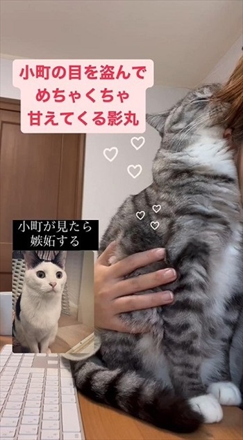 オススメ
