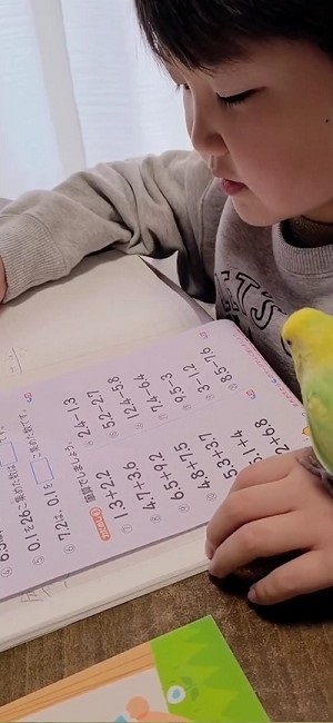 一緒に宿題するインコ