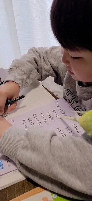 一緒に宿題するインコ