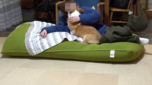 犬 大好き お兄ちゃん 帰省 再会 添い寝 幸せ コーギー