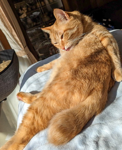 「完全になめてます」