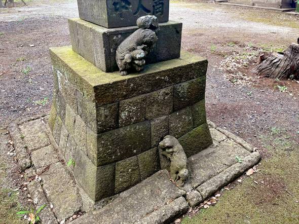 飽富神社 狛犬 子犬