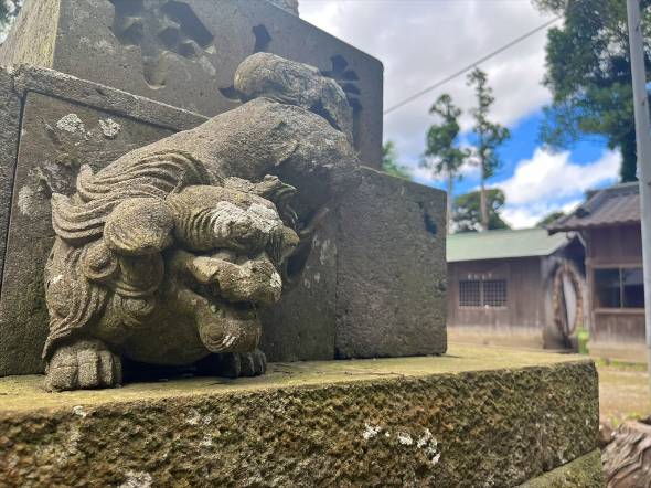 飽富神社 狛犬 子犬