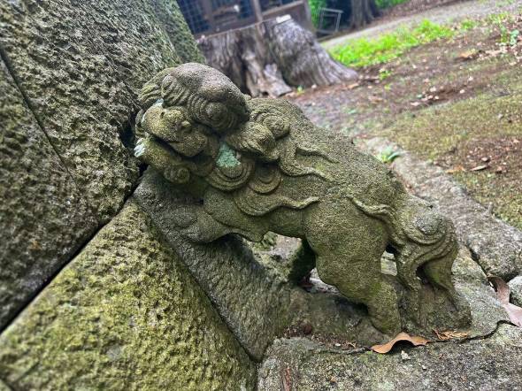 飽富神社 狛犬 子犬