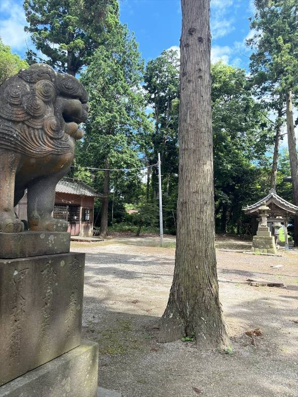 飽富神社 狛犬 子犬