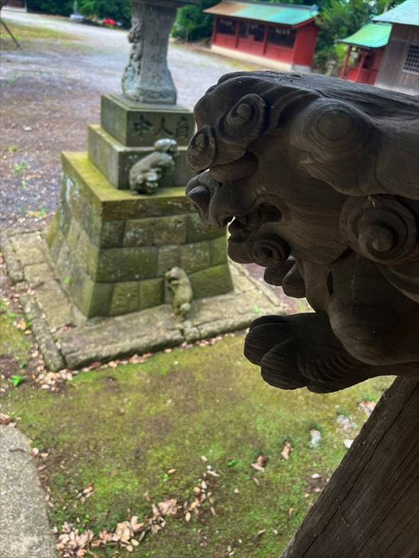 飽富神社 狛犬 子犬