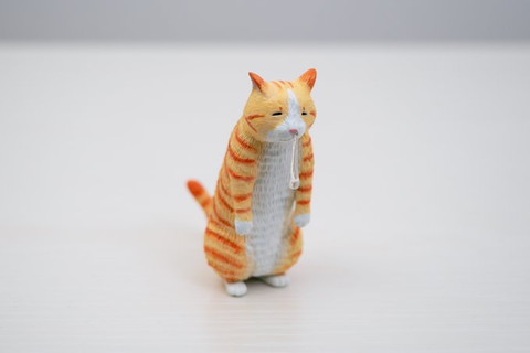 少し鼻水たらしてる猫