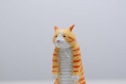 鼻水なびいてる猫