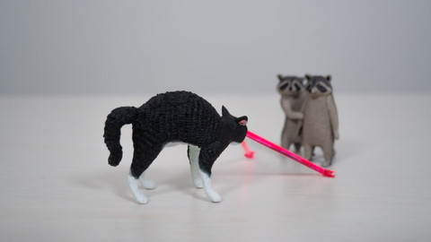 やんのかステップでビーム出す猫