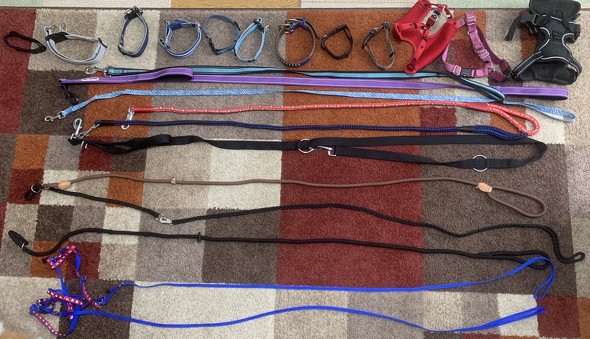 破棄を指示されたもの