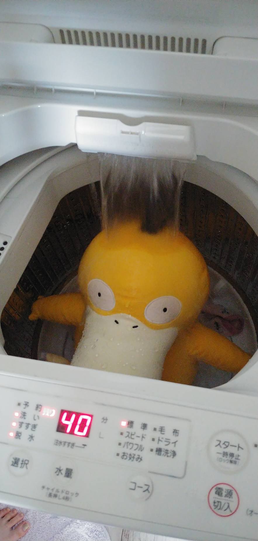 ポケモン「コダック」が滝に打たれる修業中!?　ぬいぐるみ洗濯の哀愁漂う写真に12万いいね