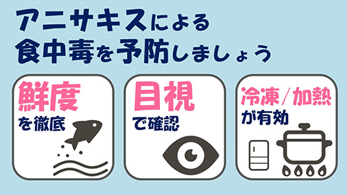 厚労省のアニサキス注意喚起が猫ちゃんでかわいい　鮮度・目視・加熱を実践する姿に癒やされる
