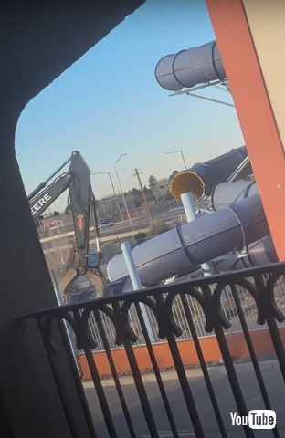 ショックを受ける猫