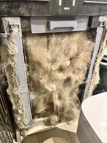 空気清浄機 猫 毛