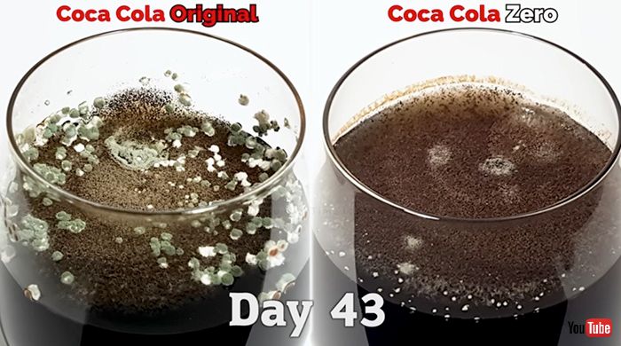 コカ・コーラとゼロを100日間放置したら……　とても興味深い結果に「こんなにキレイに違うんだ！」と驚きの声