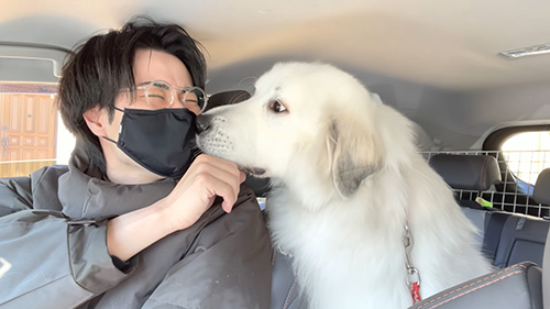 うれしそうな投稿主さん