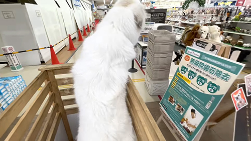 ペットコーナー到着