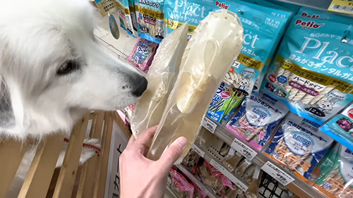 くつとドレミちゃん