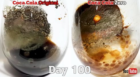 コカコーラとゼロを放置してから100日経過……　定点観測を続けたタイムラプス動画が興味深い結果に