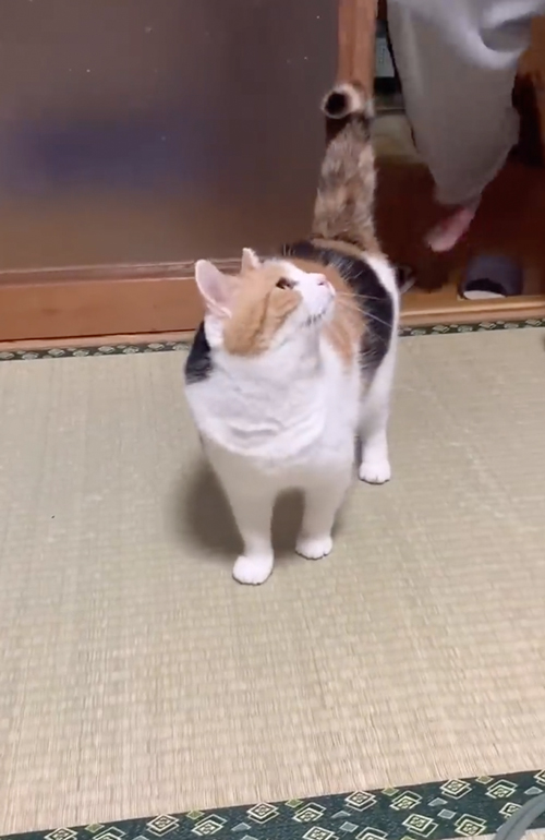 遊ぶ前の恒例行事