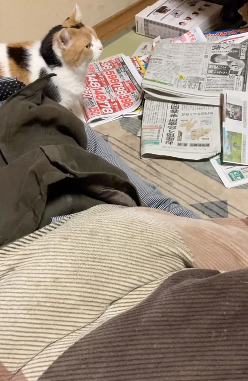 寝ているお父さん