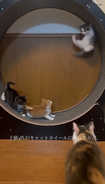 足をバタバタ