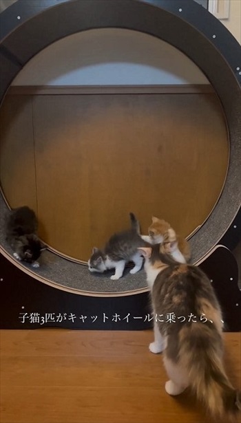 無事着地