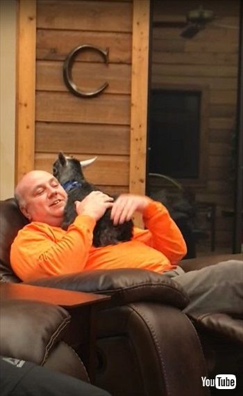 パパ大好きなヤギ