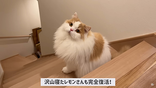 復活