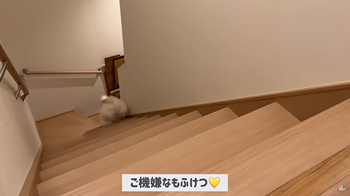もふけつ
