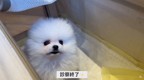 診察完了