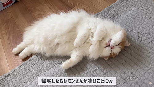 すごいことに