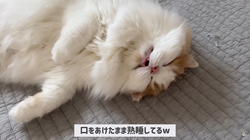 寝顔アップ